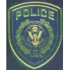 FEDERAL PROTECTIVE SERVICES PATCH PIN